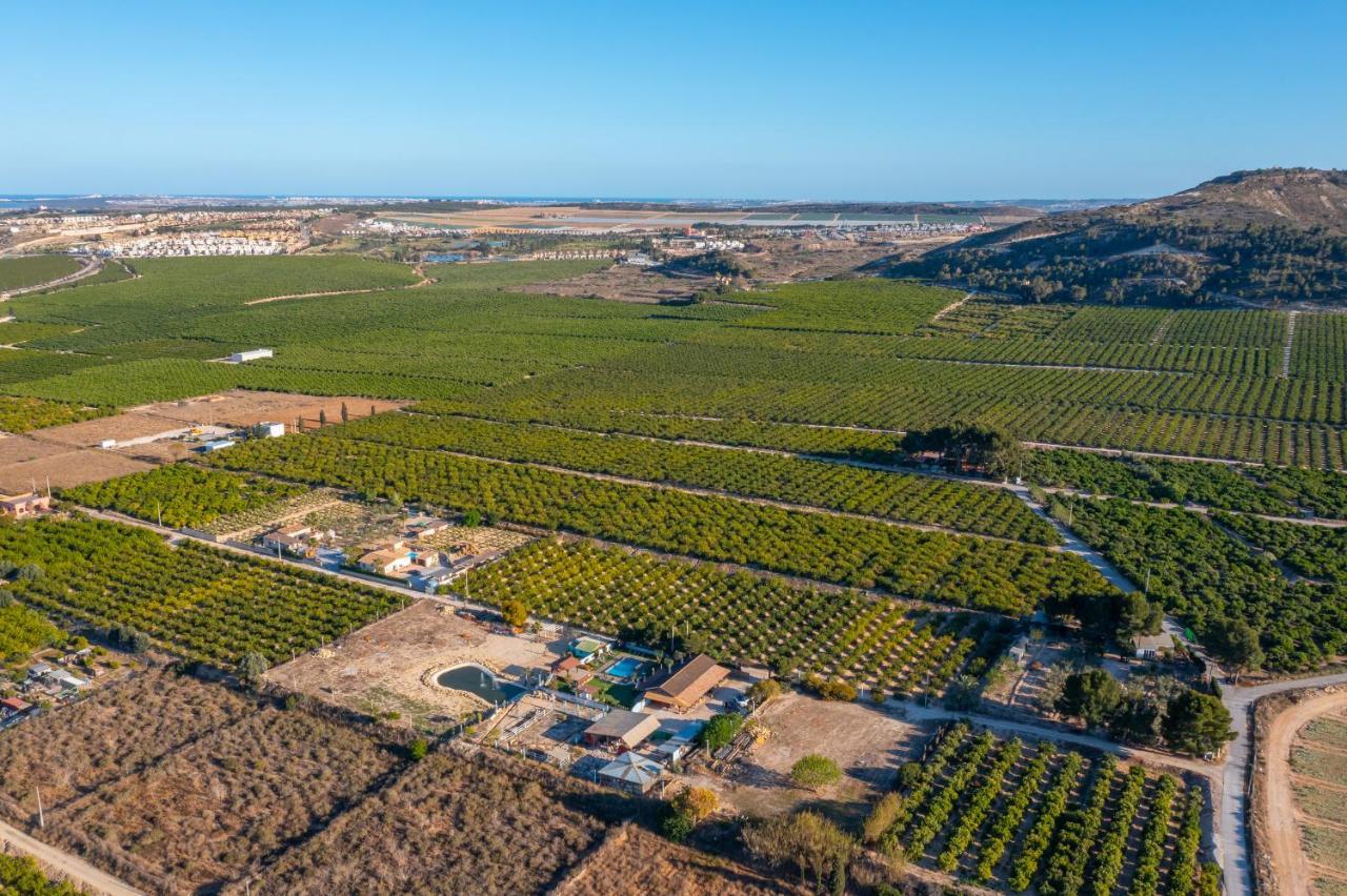 Bah Ama Breeze By Fidalsa Villa Algorfa Exteriör bild